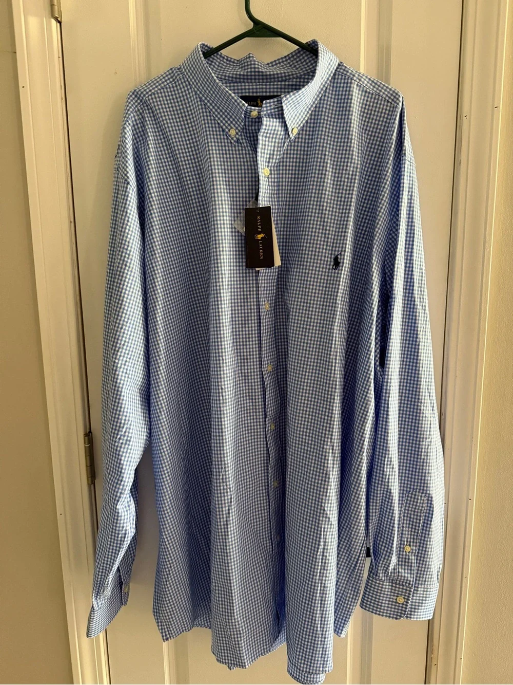 Polo by Ralph Lauren Light Blue Gingham Button-Down Shirt